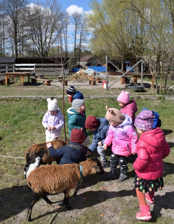 DSC_0832 (Copy)