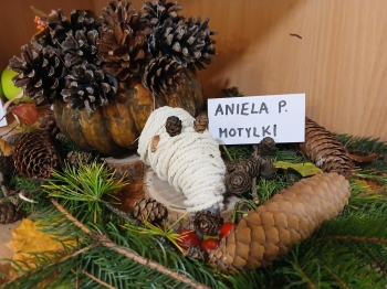 ANIELKA (Copy)