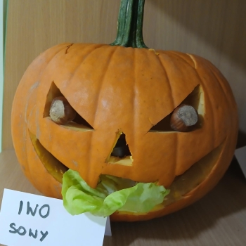IWO (Copy)