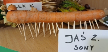 JAN Z (Copy)