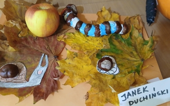 JANEK D (Copy)