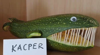 KACPER (Copy)