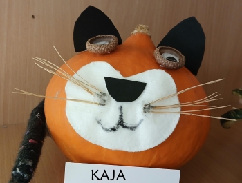 KAJA (Copy)