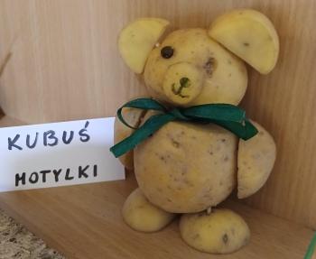 KUBA Z (Copy)