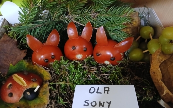 OLA (Copy)