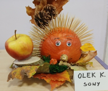 OLEK K (Copy)