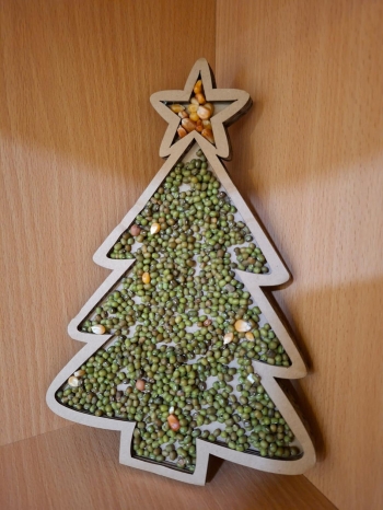 IMG-20251218-WA0017 (Copy)