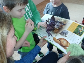 20260219_130513 (Copy)