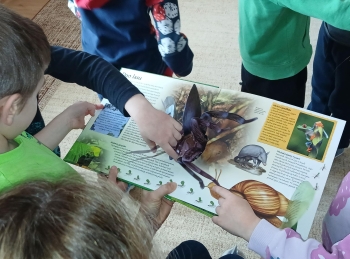 20260219_130524 (Copy)