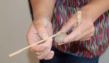 DSC_0971 (Copy)