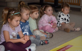 DSC_0084 (Copy)