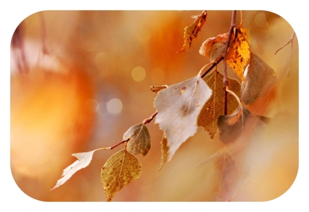 Co na czeka w listopadzie?