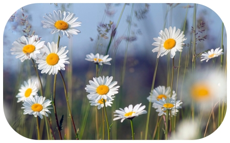 Co nas czeka w maju?