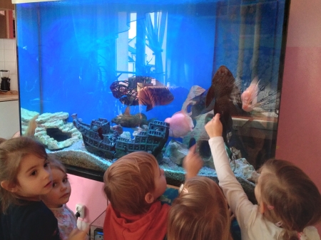 Dzieci z grupy ,,Delfinki'' oglądają rybki w akwarium 